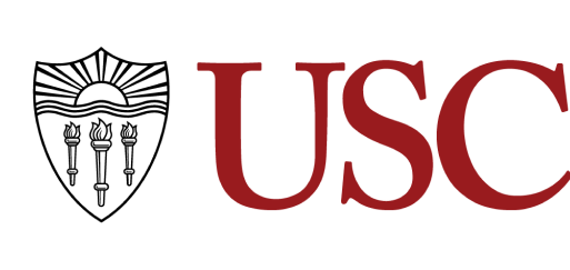 Dr. Afshin Nikzad's has worked at USC